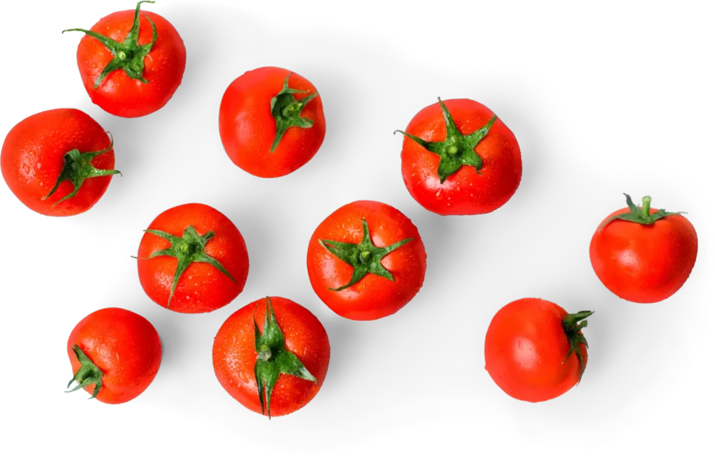 tomato